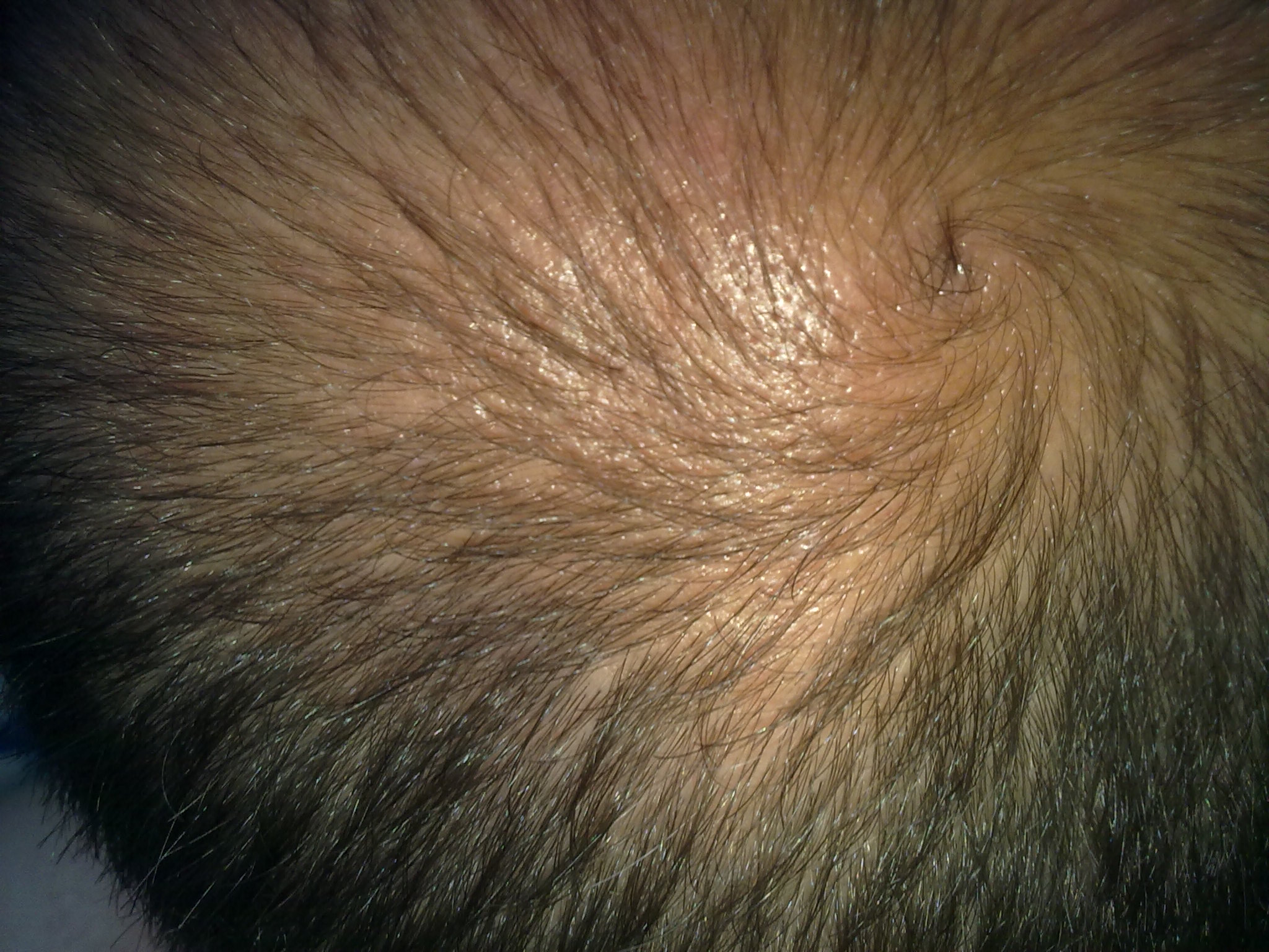 1276612033-14062010659.jpg